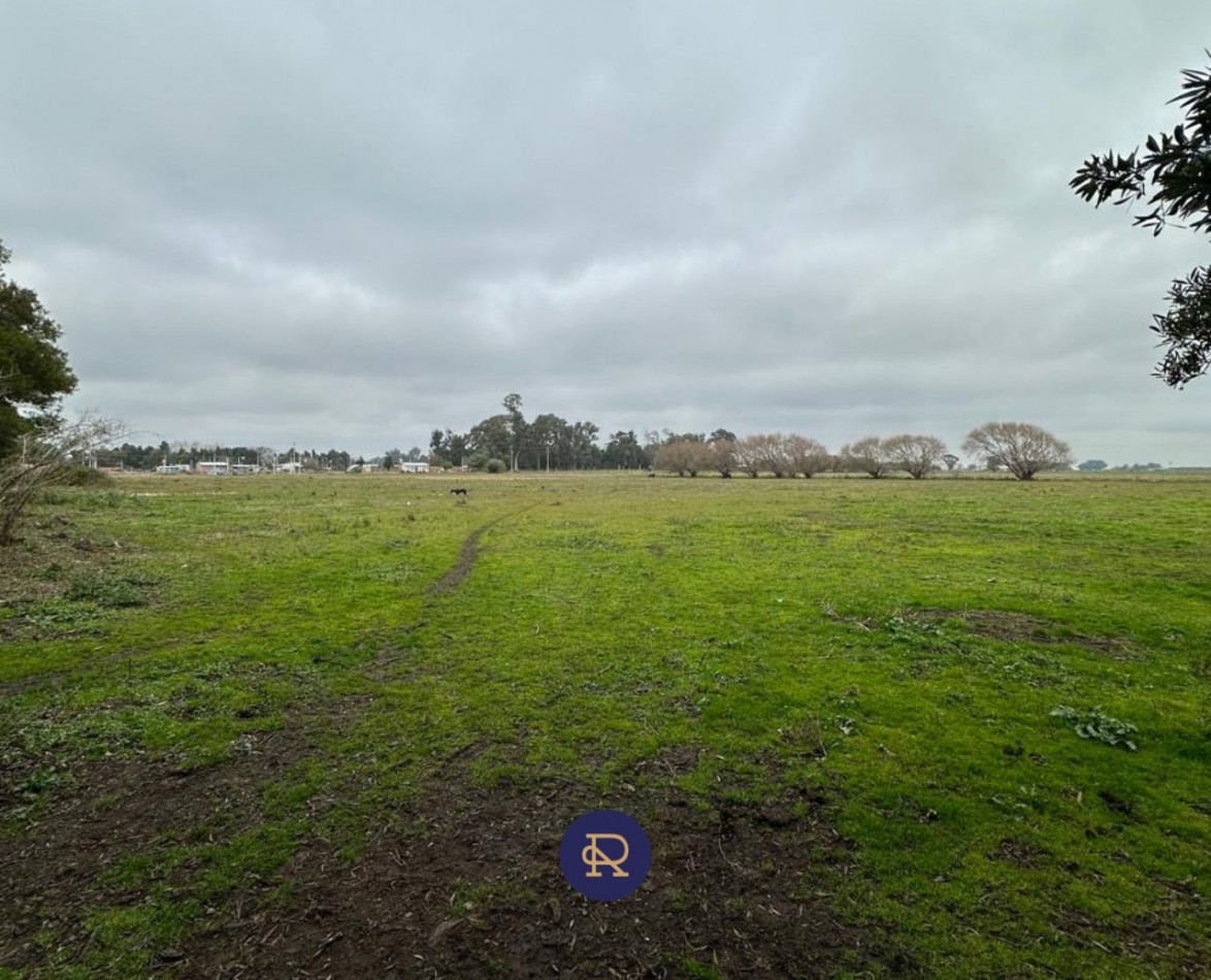 OPORTUNIDAD UNICA - CHACRA DE 3 HECTAREAS EN VENTA 