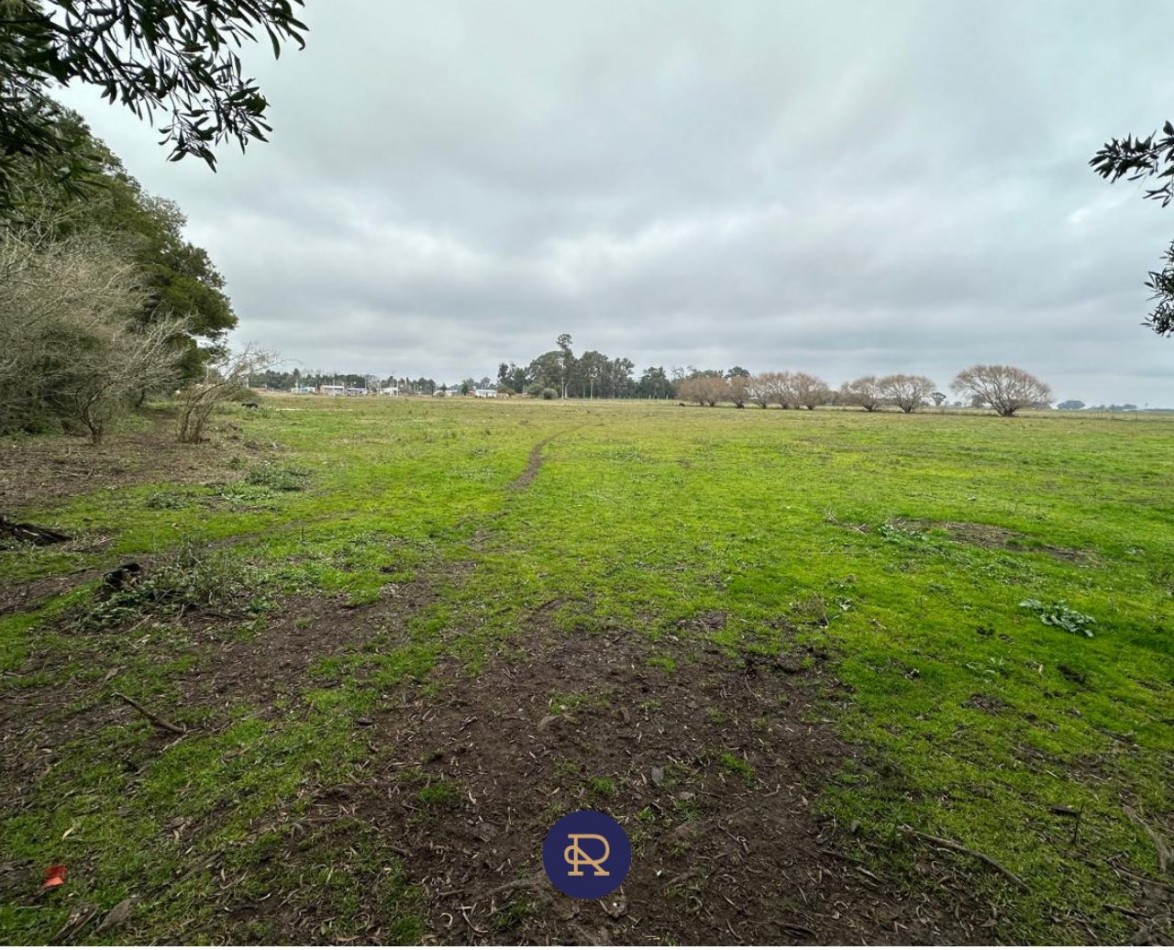OPORTUNIDAD UNICA - CHACRA DE 3 HECTAREAS EN VENTA 