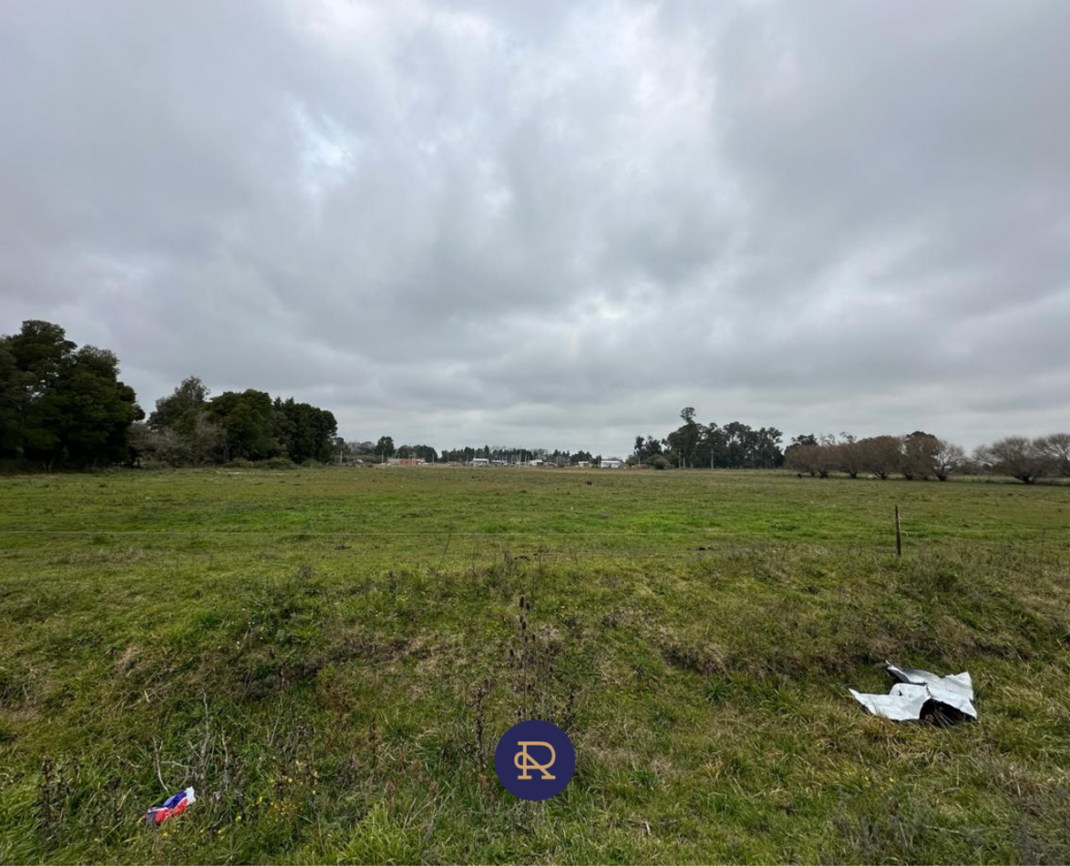 OPORTUNIDAD UNICA - CHACRA DE 3 HECTAREAS EN VENTA 