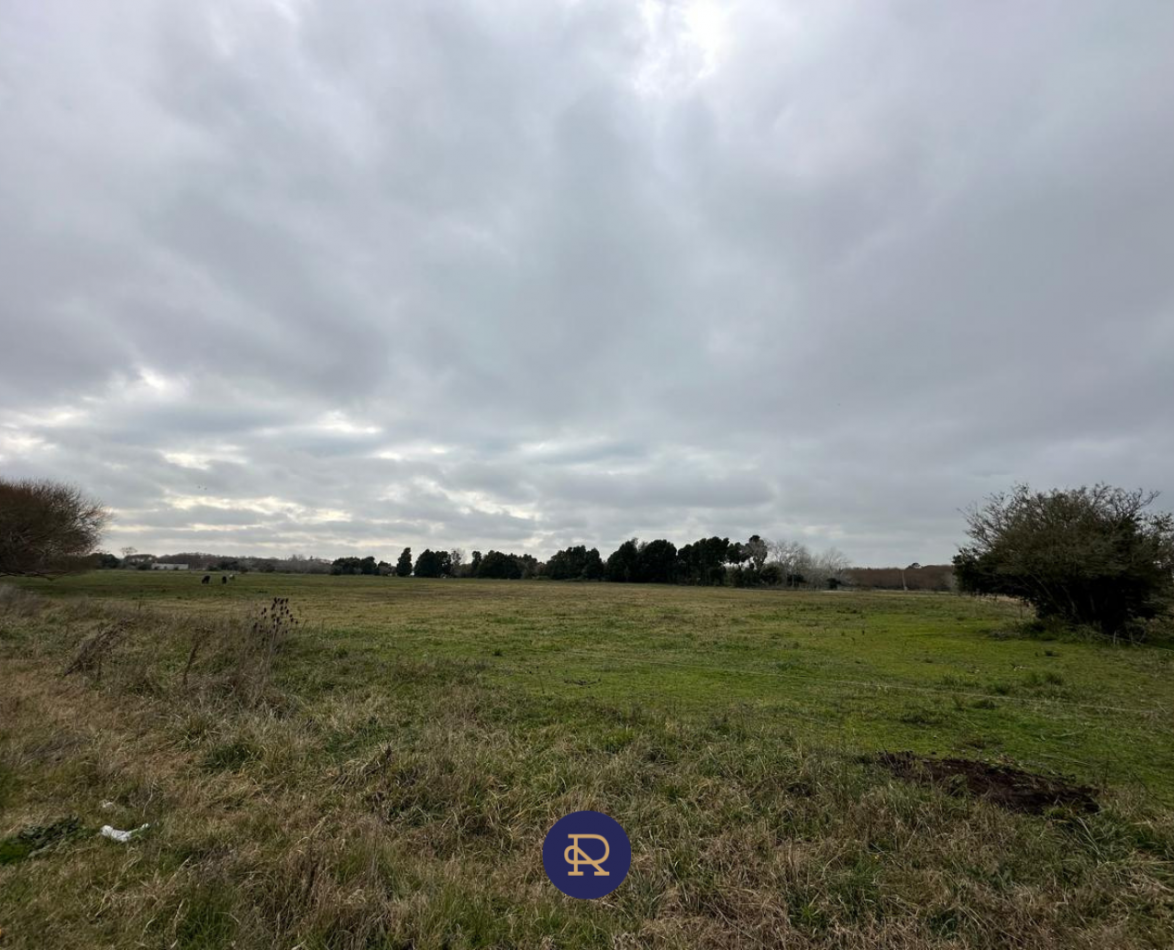 OPORTUNIDAD UNICA - CHACRA DE 3 HECTAREAS EN VENTA 