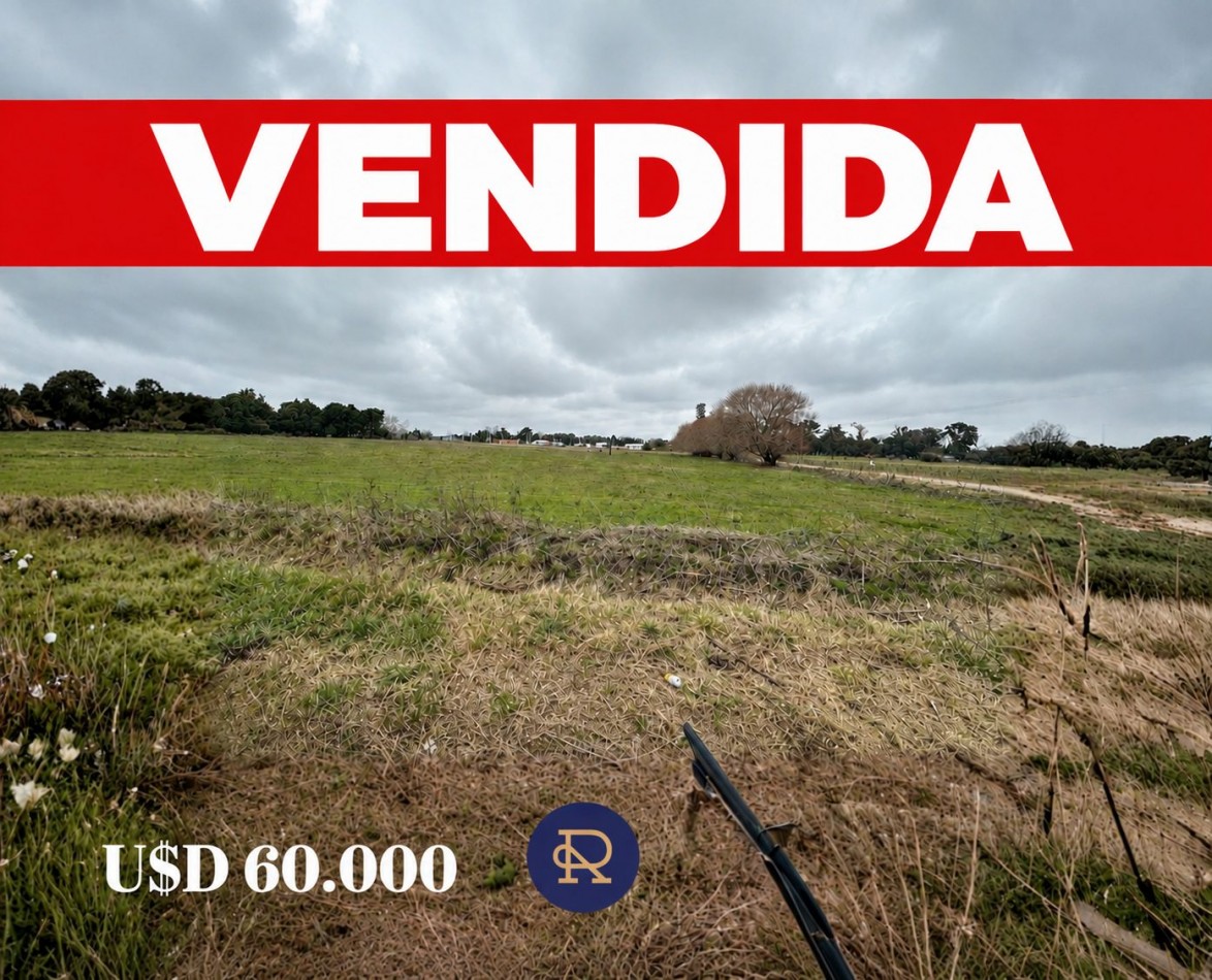 OPORTUNIDAD UNICA - CHACRA DE 3 HECTAREAS EN VENTA 
