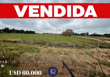 OPORTUNIDAD UNICA - CHACRA DE 3 HECTAREAS EN VENTA 